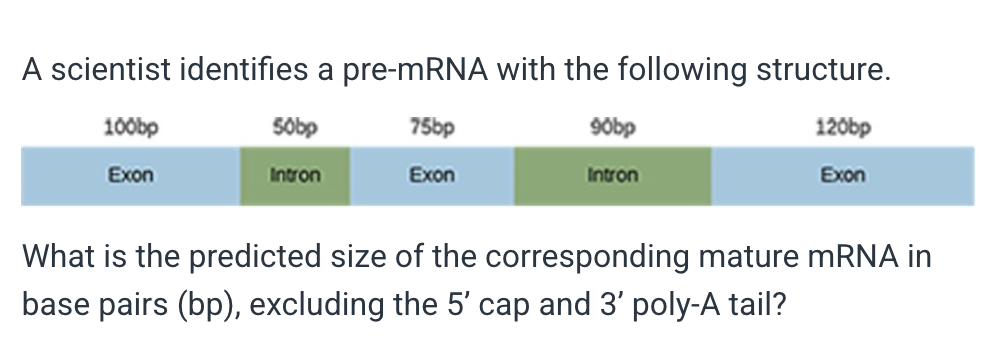 <p>What is the predicted size of the corresponding mature mRNA in base pairs (bp), excluding the 5’ cap and 3’ poly-A tail?</p><p>&nbsp;</p><p>220bp</p><p>&nbsp;</p><p>295bp</p><p>&nbsp;</p><p>140bp</p><p>&nbsp;</p><p>435bp</p>