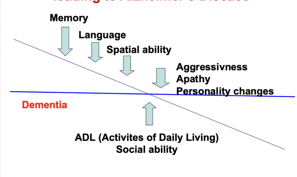 <p>once decline affects ADL (activities of daily living) and social ability- considered dementia </p>