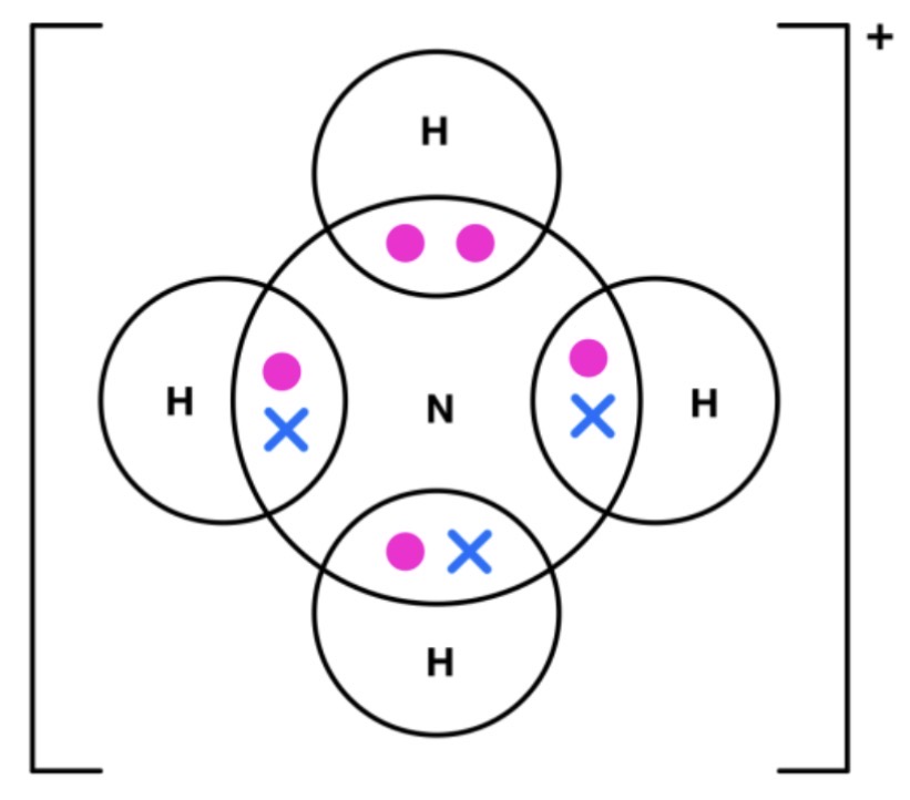 <p>Ammonium</p>