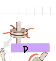 <p>D</p>
