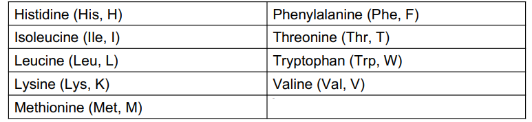 <p>Of the 20 amino acid used to build the proteins in the body, only 11 can be synthesized in the body </p><ul><li><p>only 11 can be synthesized in the body </p></li><li><p>the other 9 amino acids are essential amino acids that must be obtained from the proteins in the diet </p></li></ul><p></p>