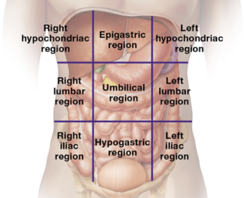 knowt flashcard image