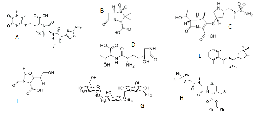 <ol><li><p><span>Which of these structures is a carbapenem?</span></p></li><li><p><span>Which of these antibiotics is not a β-lactam antibiotic?</span></p></li><li><p><span>Which of these structures is a cephalosporin?</span></p></li><li><p><span>Which of these structures is a β-lactamase inhibitor?</span></p></li><li><p><span>Which of these structures might be resistant β-lactamase activity?</span></p></li><li><p><span>Which of these structures could be a product of β-lactamase activity on a penicillin?</span></p></li><li><p><span>Which of these might be tolerated by a patient with penicillin sensitivity?</span></p></li></ol><p></p>