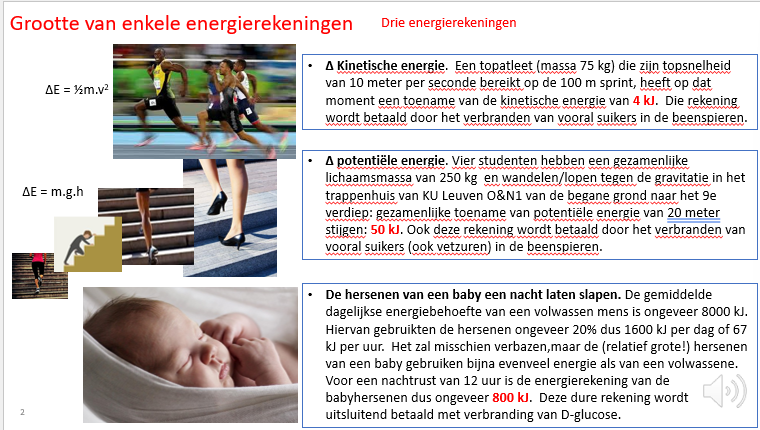 <p>1:</p><p><span>Deel van de energie wordt uitgegeven aan kinetische energie (bv een sprint trekken).</span></p><p></p><p>2: <span>Ook bv potentiële energie (ons verder van het centrum van de aarde begeven).</span></p><p></p><p><span>3: Ook bv de hersenen tijdens de slaap (bij baby’s zijn de hersenen groot in verhouding tot het lichaam).</span></p>