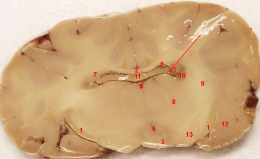 <p>what area is this</p>