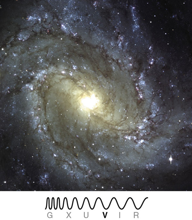 <p>Identify which type of galaxy is represented in the image</p>