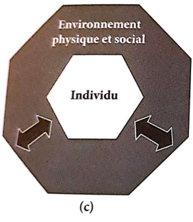 <p>Interventions <strong>centrées</strong> sur les <strong>interrelations</strong> entre l’individu et son environnement et visant à <strong>adapter </strong>l’<strong>environnement</strong> aux <strong>besoins </strong>et <strong>capacités</strong> de l’individu</p>