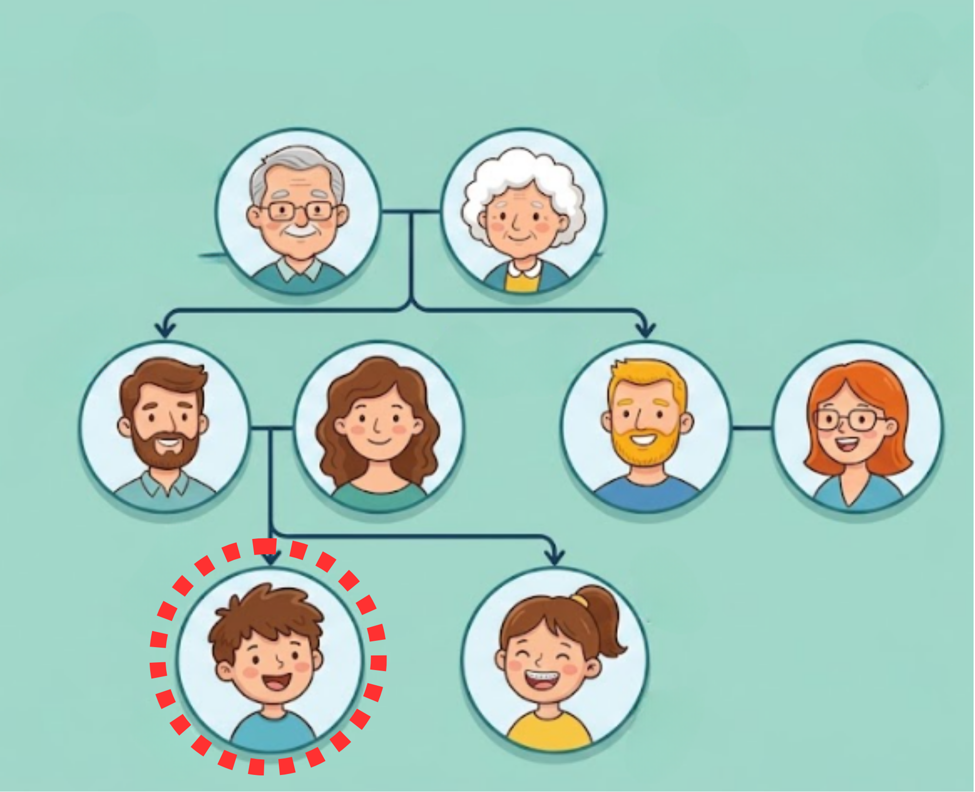 <p>A boy or man who shares the same parents as another person.</p>