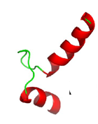 <p>What is this secondary motif?</p>