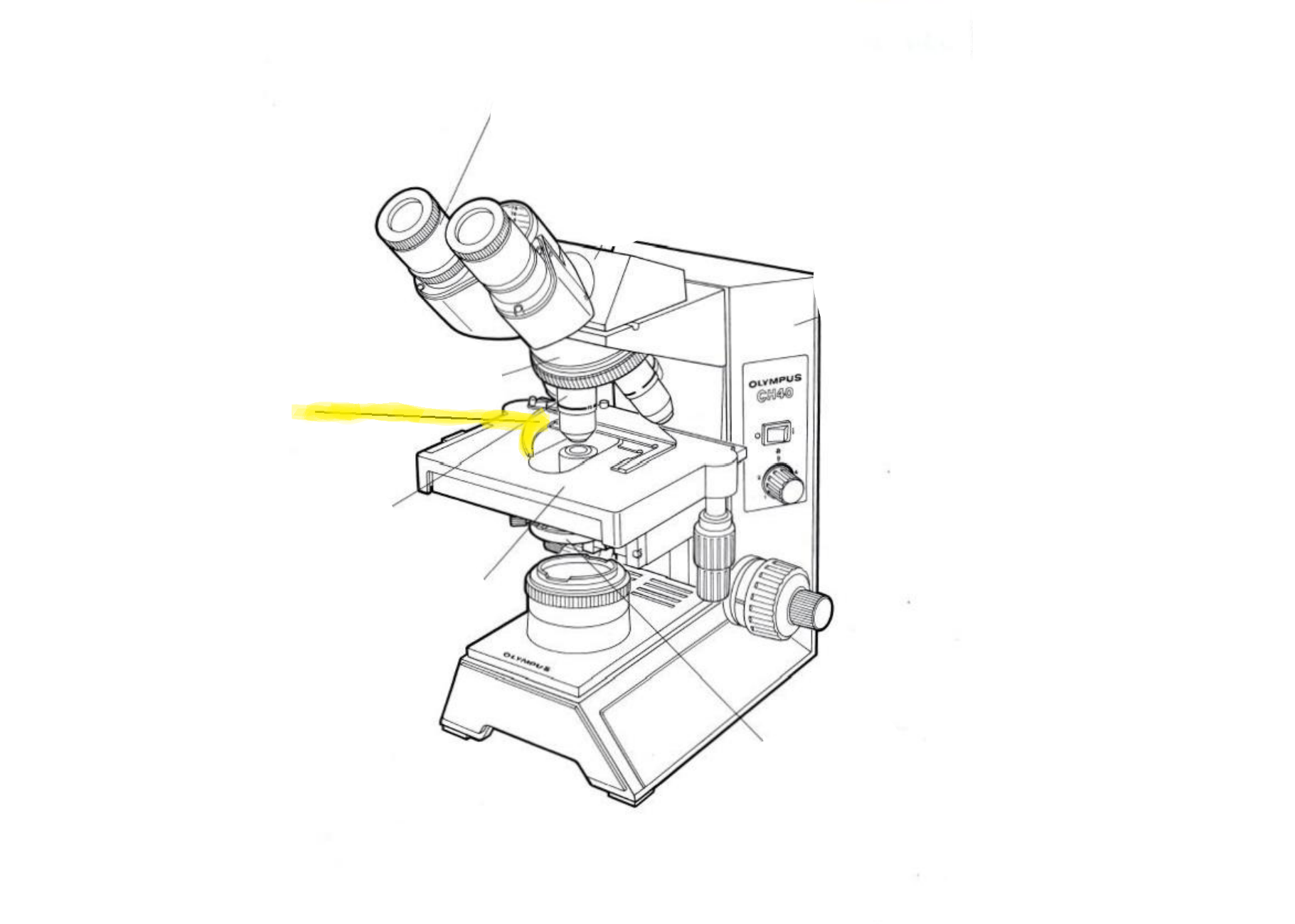 <p>Label the part of the microscope highlighted in yellow</p>