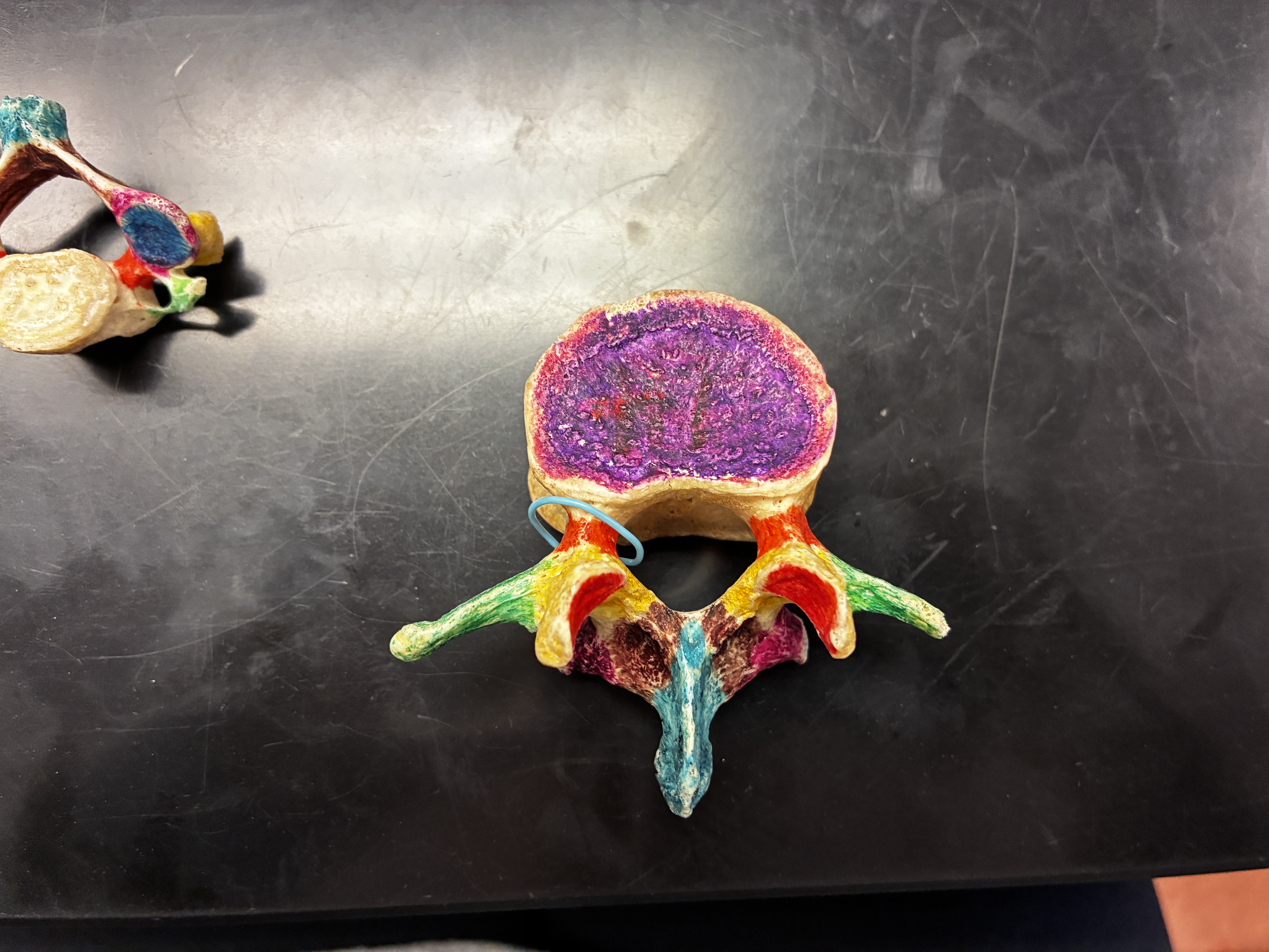 <p>What’s the name of the space the Blue Wire is running through?</p>