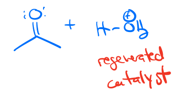 <p>Ketone + acid (regenerated catalyst)</p>