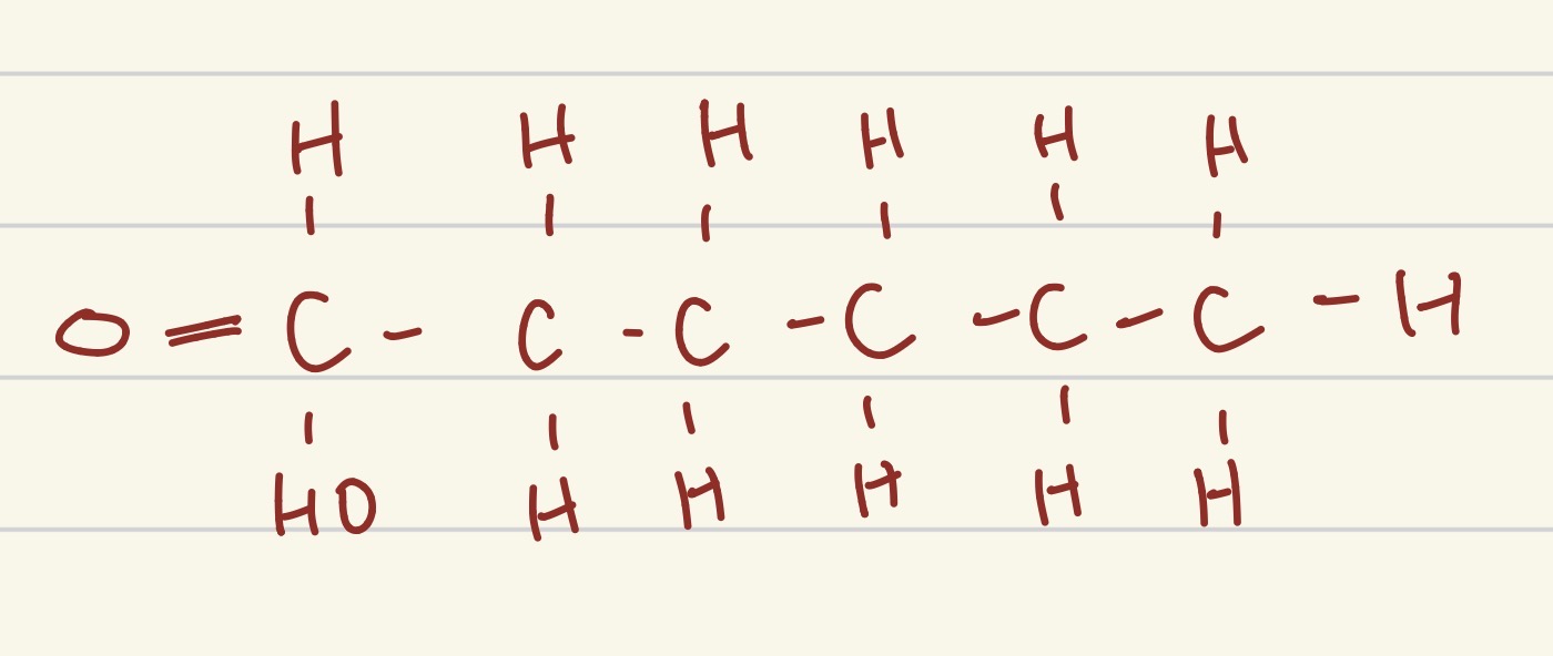 <p>which part of a lipid is this?</p>