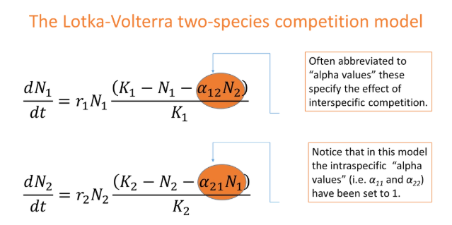 <ul><li><p>alpha<sub>12</sub> = the per capita impact of species 2 on an individual of species 1</p></li><li><p>alpha<sub>12</sub> > 1 means species 2 has a greater relative effect on species 1 eg. larger/more aggressive/uses more resources</p></li><li><p>at equilibrium, dN<sub>1</sub>/dt = 0, which simplifies the equation to 0 = K<sub>1</sub> - N<sub>1</sub> - alpha<sub>12</sub>*N<sub>2</sub></p></li><li><p>N<sub>1</sub> = K<sub>1</sub> - alpha<sub>12</sub>*N<sub>2 </sub>→ y = mx + c  (zero net growth isocline, ZNGI- we don’t expect the population to change at any point on this line)</p></li><li><p>the y intercept = K<sub>1</sub>, so when population 1 reaches equilibrium, in the absence of population 2, it will reach its carrying capacity</p></li></ul><p></p>