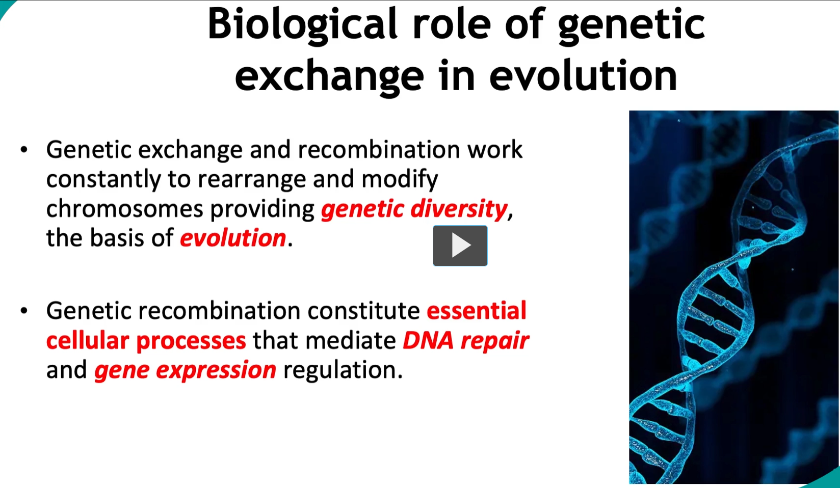 <p><strong>Biological role of genetic exchange in evolution</strong></p><ul><li><p><strong>Genetic exchange</strong> and <strong>recombination</strong> <strong>work constantly</strong> to <strong>rearrange</strong> and<strong> modify chromosomes</strong> providing <strong>genetic diversity</strong>, the basis of <strong>evolution</strong>.</p></li><li><p><strong>Genetic recombination</strong> constitute <strong>essential cellular processes</strong> that <strong>mediate</strong> <strong>DNA repair</strong> and <strong>gene expression regulation.</strong></p></li></ul><p></p>