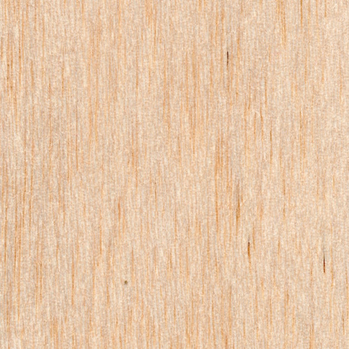 <p>le balsa</p>