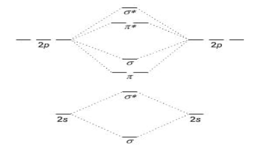 <p>Which atoms use this orbital diagram? </p>