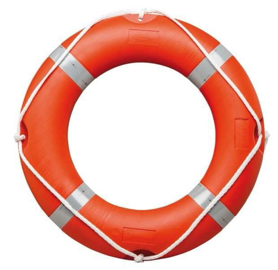 <p>lifebuoy</p>