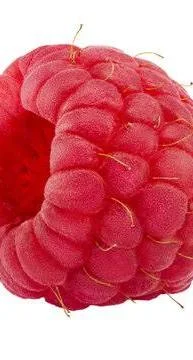 <p>la frambuesa</p>