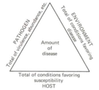 <p>pathogen, environment, host</p>