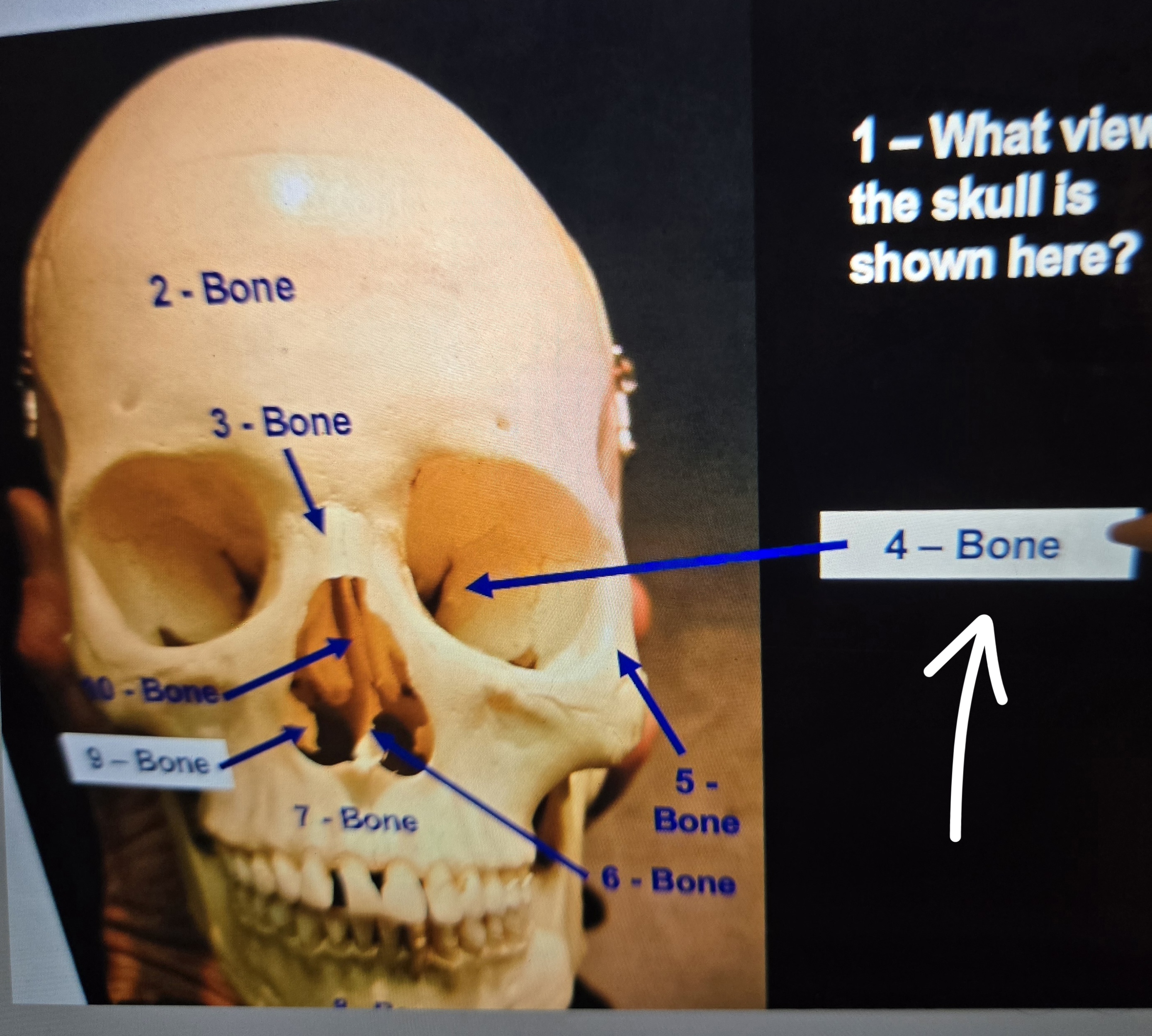 term image