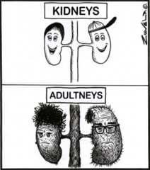 <p>Geriatric patients have impaired excretion (renal and GI) </p><p>Decreased kidney size, blood flow, GFR, decrease CrCl </p><p>MOST DRUGS GIVEN TO GERIATRIC PATIENTS CARRY SOME RISK</p>