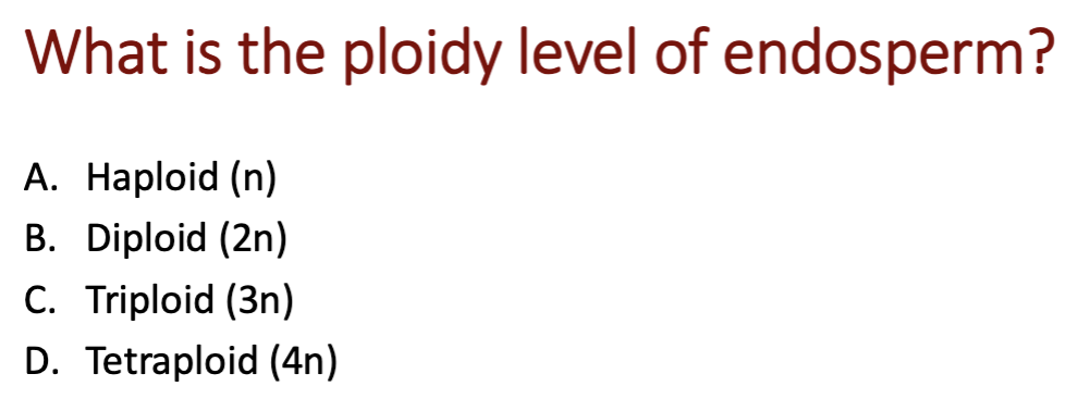 <p>A, B, C or D?</p>