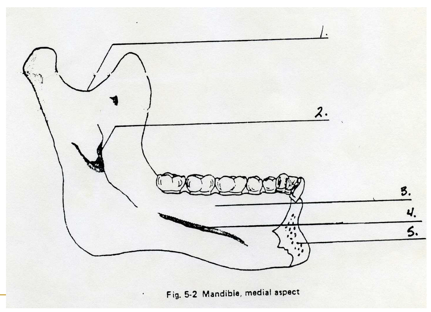 <p>Label 3</p>