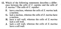 <p>Plant cells and fungi (NOT animal cells)</p>