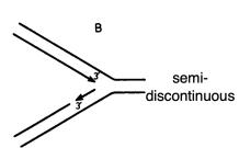 <ul><li><p>toward </p></li><li><p>away from</p></li></ul><p></p>