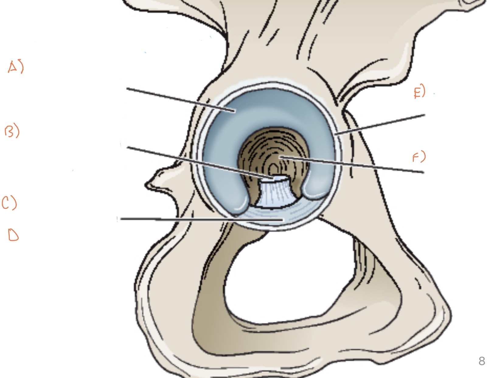<p>Label the parts in the image</p>