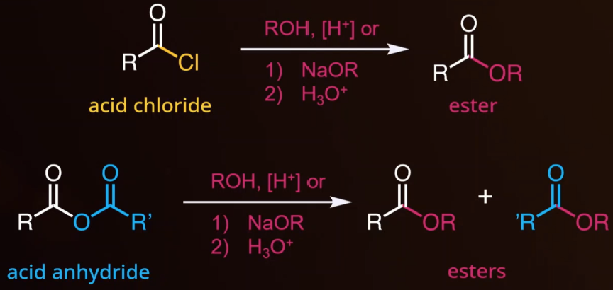 <ul><li><p><span style="background-color: transparent;">Reagents: ROH + H<sup>+</sup> or NaOR + H<sub>3</sub>O<sup>+</sup></span></p></li><li><p><span style="background-color: transparent;">Anhydride makes two esters.</span></p></li></ul><p></p>