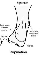 <p>Inversion, plantar flexion, and adduction combined.</p>