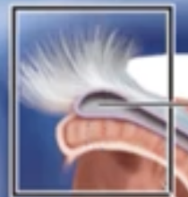 <p>What is this </p>