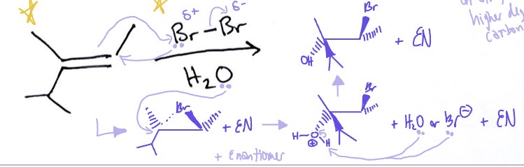 <p>Z (cis) alkene, Br2/Cl2, H2O → Br/Cl on lower degree side and OH on higher degree side and EN</p>