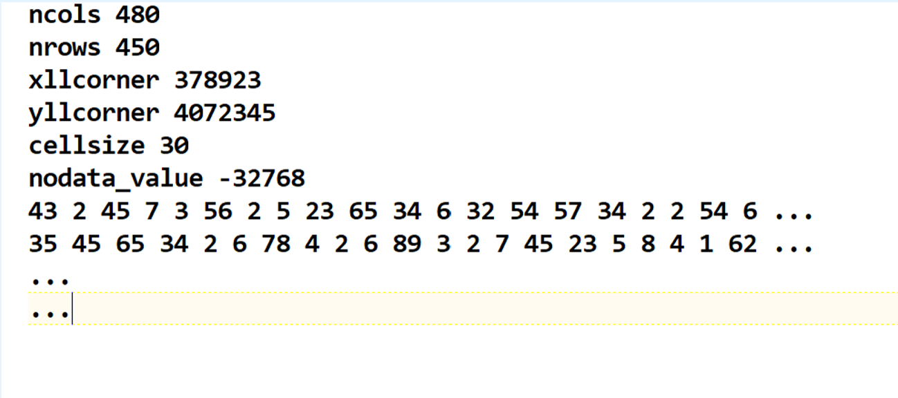 <p>ESRI ASCII raster</p>