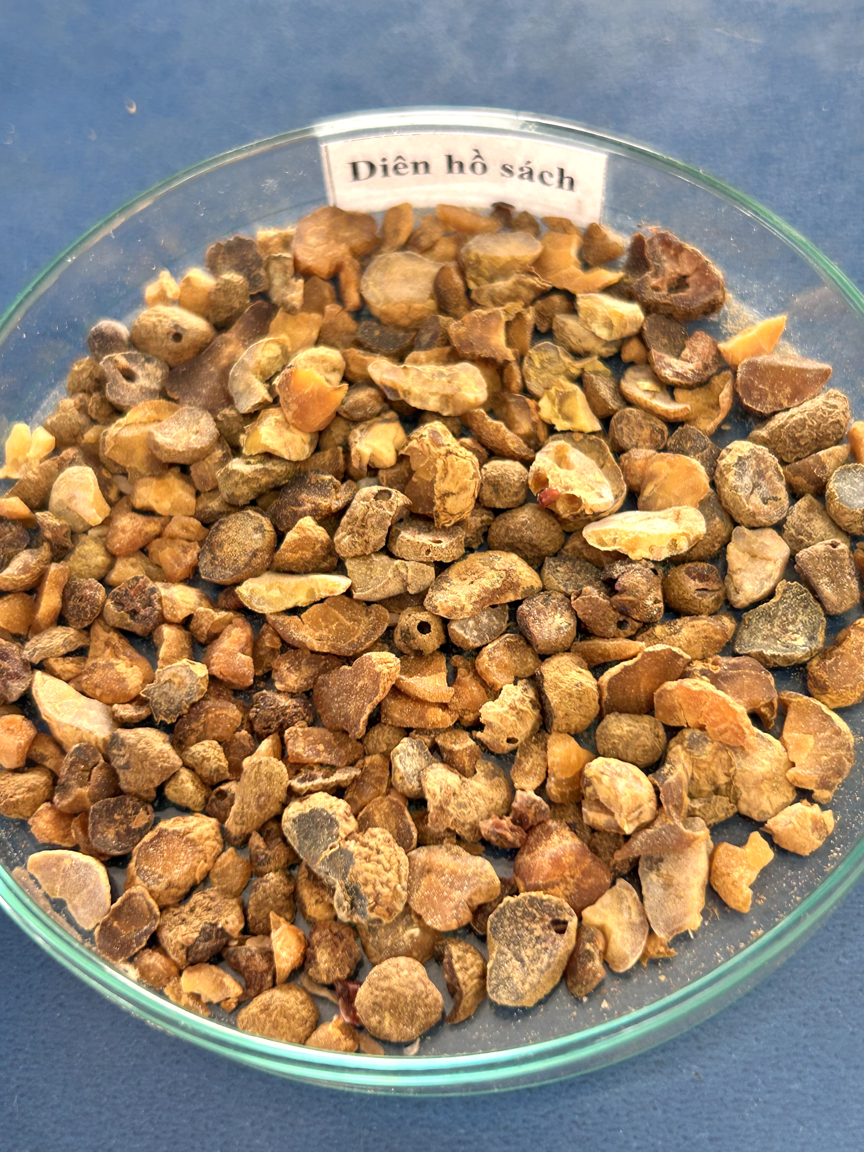 <p>diên hồ sách</p>