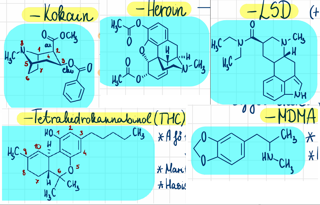 <p>kokain <br>heroin <br>LSD <br>tetrahidrokannabinol (THC) <br>MDMA (Ecstasy)</p>