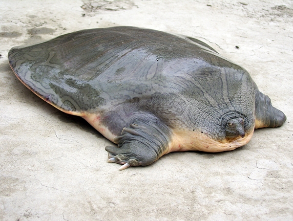 <p></p>