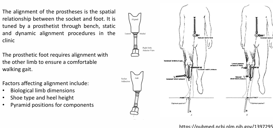 <p>biological limb dimensions, shoe type and heel height and pyramid positions for components</p>