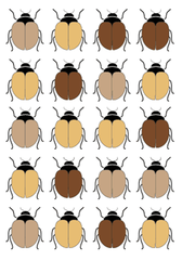 <p>Increases genetic diversity</p>