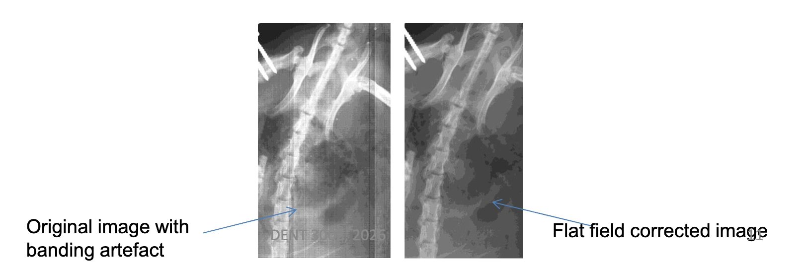 <p>a flat field (uniform field) is corrected and averaged</p><p>this information is used to compensate for the different gains and sensitivity for each of the detector images </p><p>after flat field correction, a uniform signal will create a uniform output </p><p>these corrections are applied automatically by the detector system before the image is displayed </p>