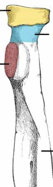 <p>whats the red</p>