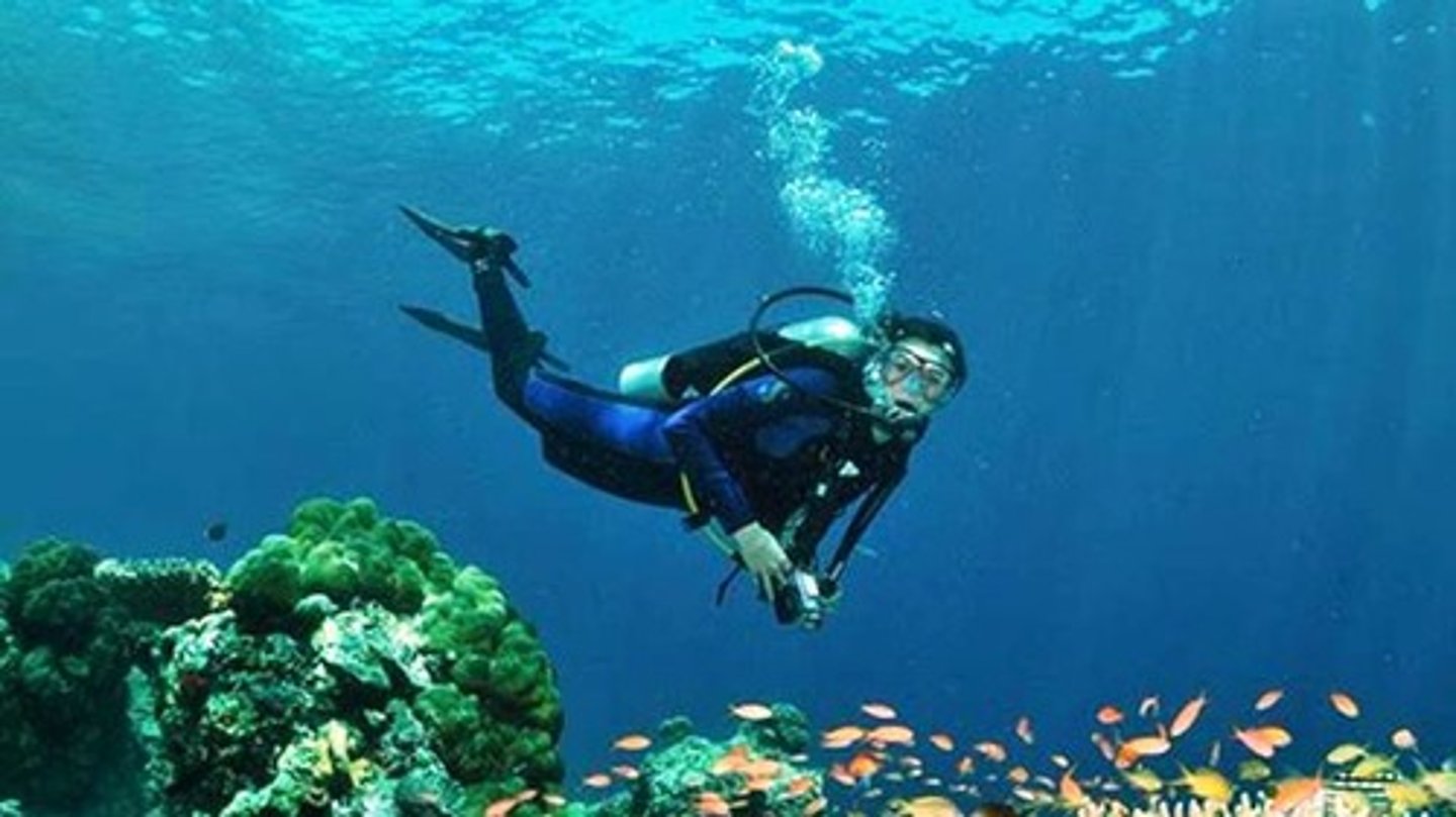 <p>to go scuba diving, I have been scuba diving</p>