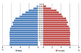 <p>What is a slow/stable population growth pyramid?</p>