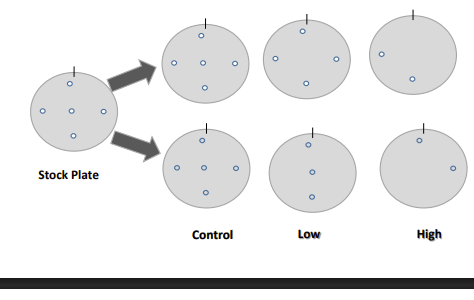 <p>whats happening in the top row (model 1) and the bottom row (model 2)</p>