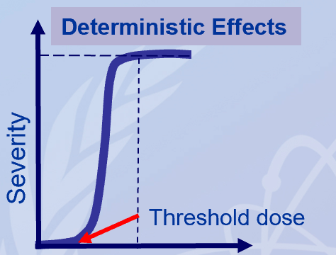 <p>the absorbed dose (D) to the organs or tissues</p>