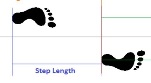 <p><span style="background-color: transparent;">Distance from point of initial contact on one foot to the point of initial contact of the other foot</span></p><ul><li><p><span style="background-color: transparent;">So from one heel to the next</span></p></li></ul><p></p>