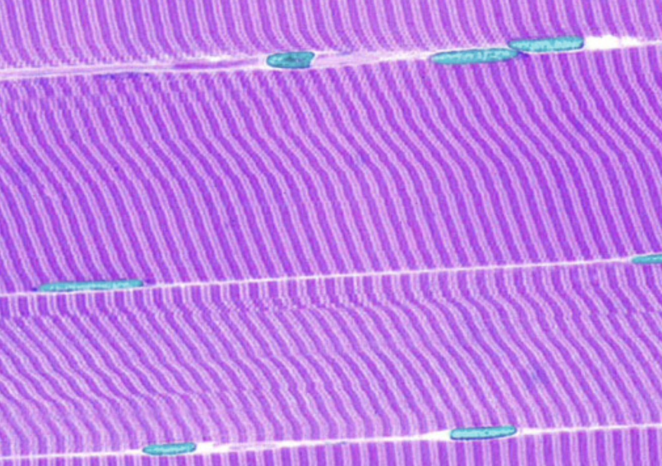 <p>What is highlighted</p>