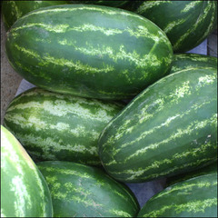 <p>4032</p>